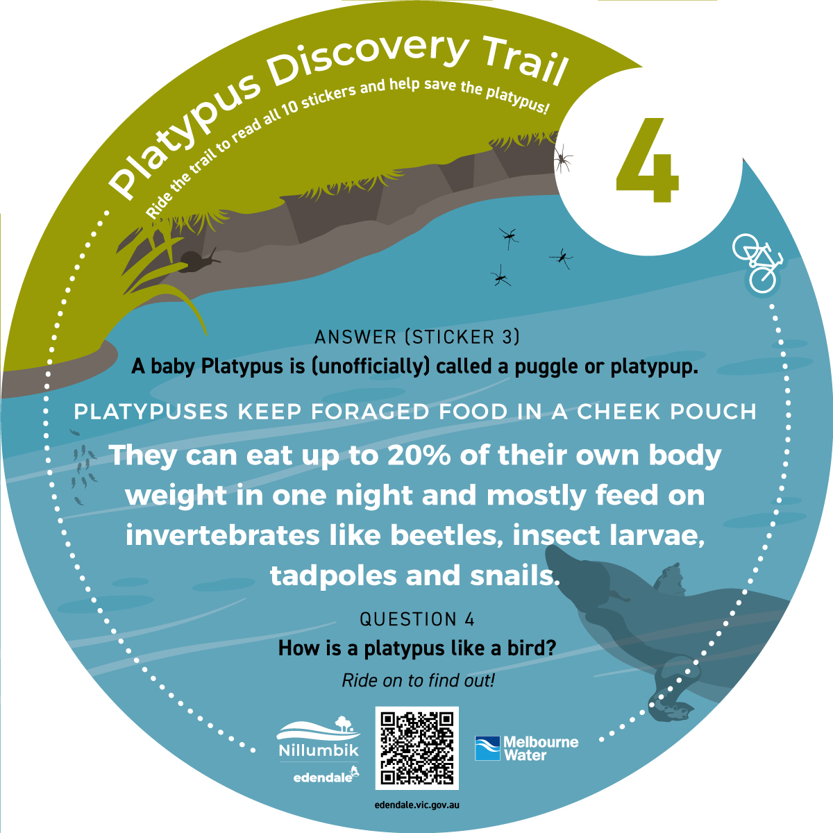 Diamond-Creek-Platypus-Discovery-Trail-4.jpg