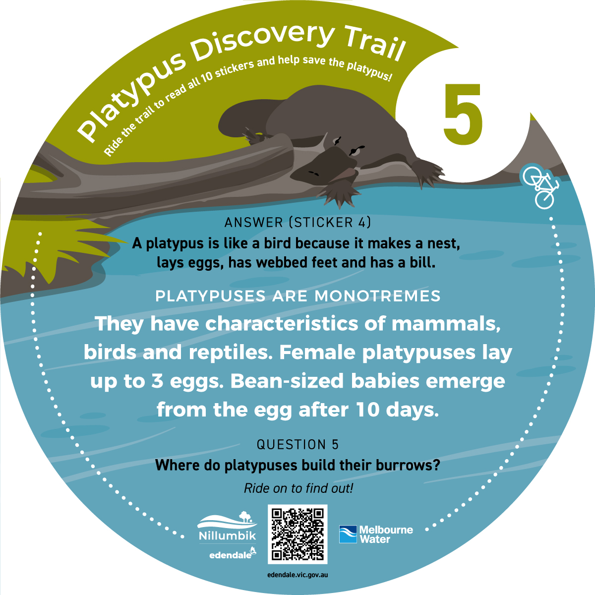 Diamond-Creek-Platypus-Discovery-Trail-5.jpg