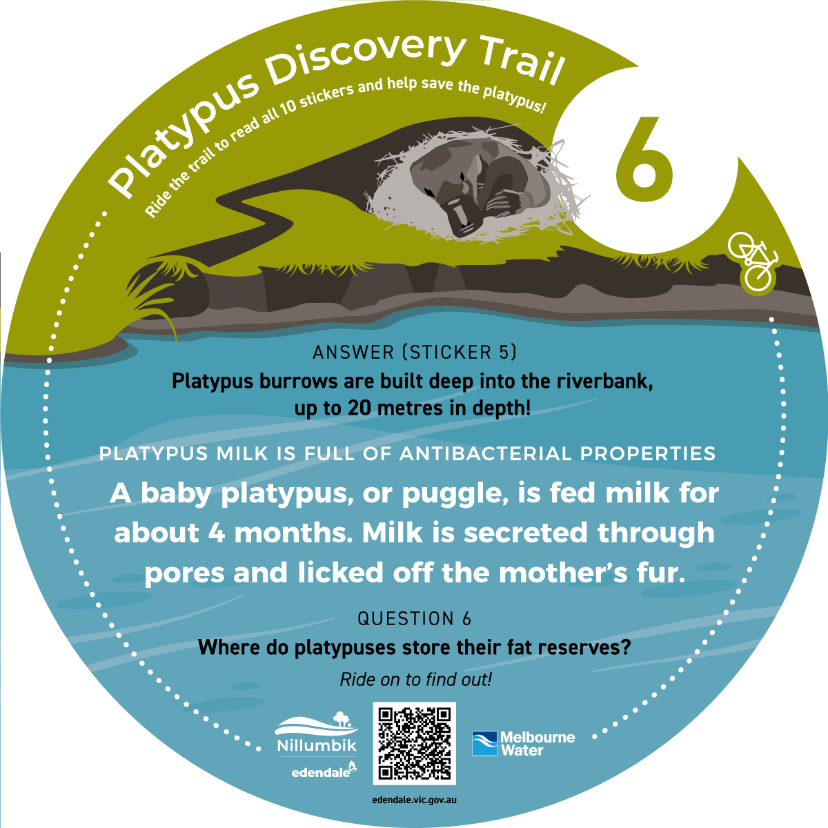 Diamond-Creek-Platypus-Discovery-Trail-6.jpg