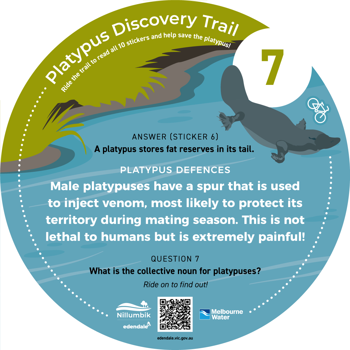 Diamond-Creek-Platypus-Discovery-Trail-7.jpg