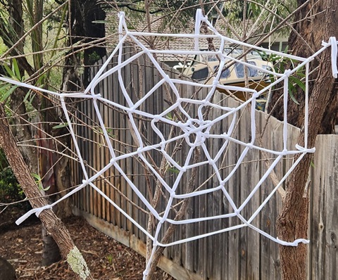 Spiderweb workshop.jpg