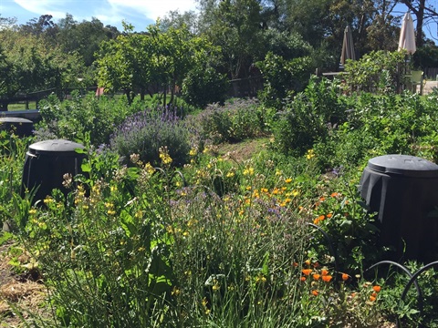 Permi garden resized
