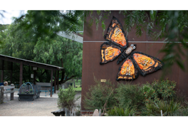 Eltham Copper Butterfly art on side of building at Edendale Farm