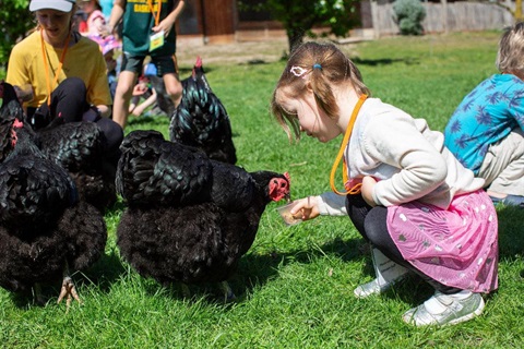 Edendale Farm Party 76.jpg