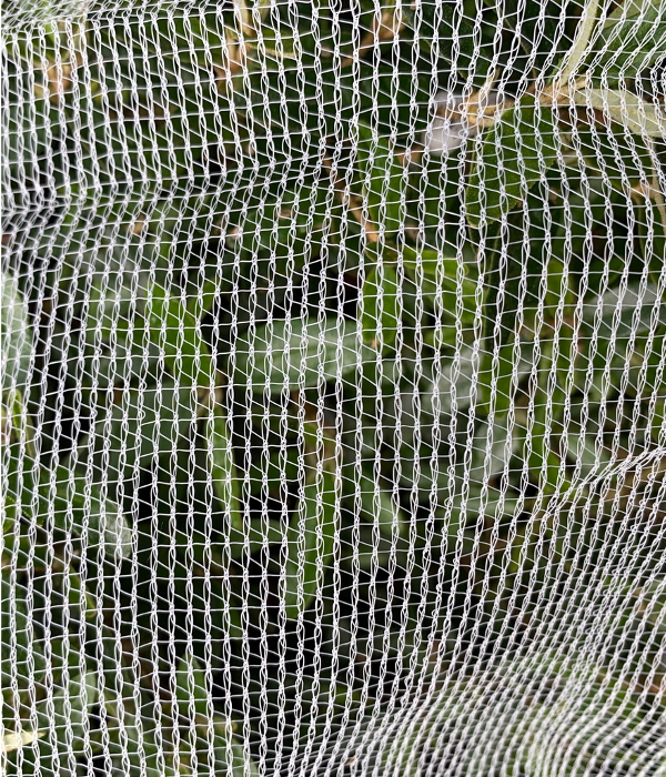 netting 2.png